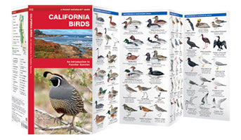 Waterford-California Birds
