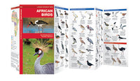 Vogelgids-Africa Birds (2016)