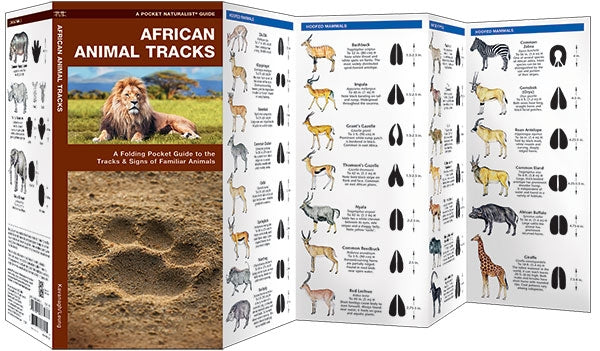 Waterford-African Animal Tracks