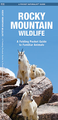 Waterford-Rocky Mountain Wildlife (2012)