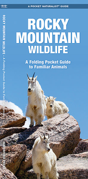 Waterford-Rocky Mountain Wildlife (2012)