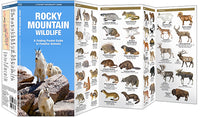 Waterford-Rocky Mountain Wildlife (2012)