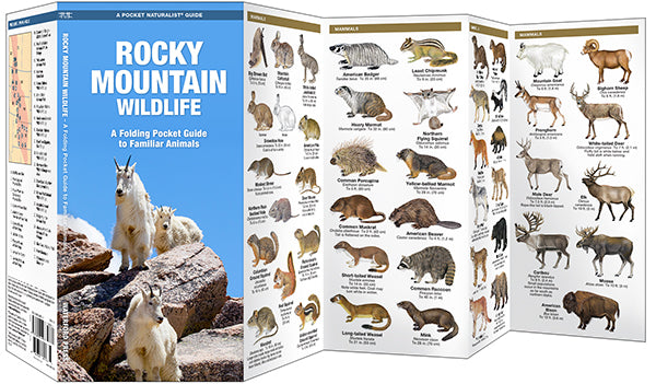 Waterford-Rocky Mountain Wildlife (2012)