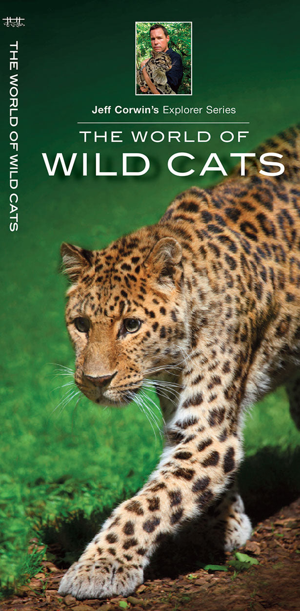Waterford-The World of Wild Cats