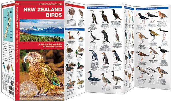 Waterford-New Zealand Birds