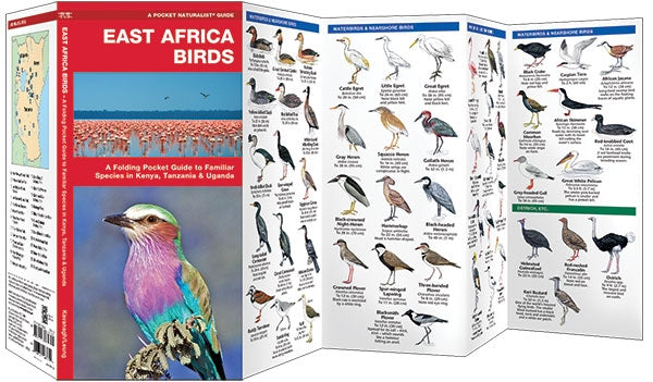 Waterford-East Africa Birds