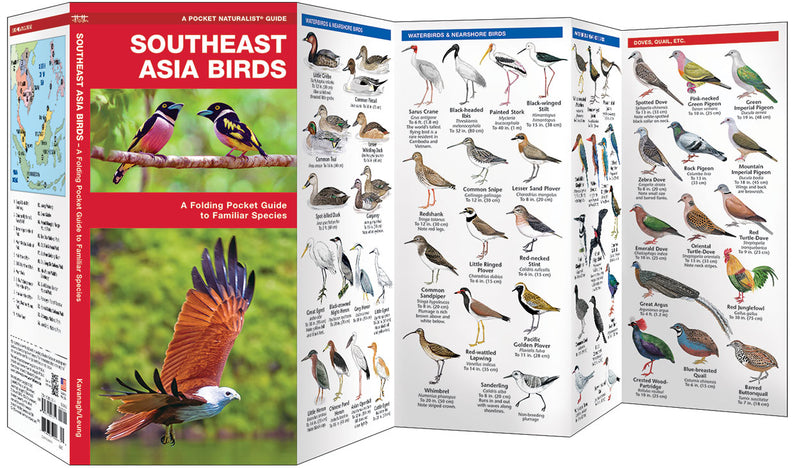 Waterford-Southeast Asia Birds