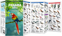 Vogelgids-Panama Birds