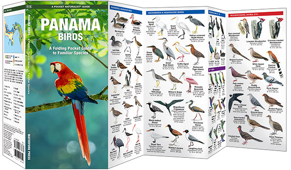 Vogelgids-Panama Birds