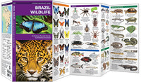 BraziliÃ«-Brazil Wildlife (2016)