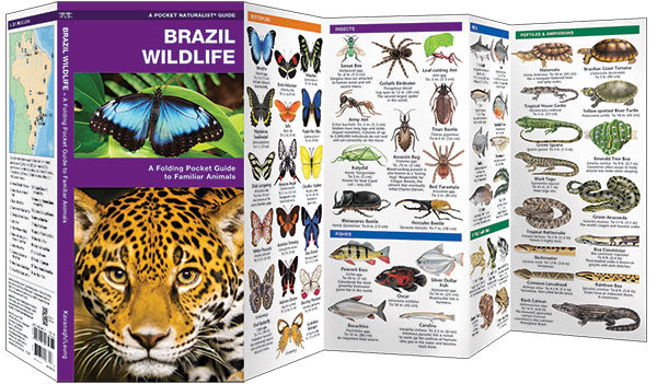 Brazilië-Brazil Wildlife (2016)