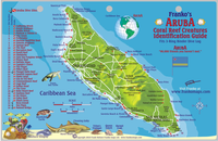 Fish Card Aruba Dive Sites & Fish ID Card /  Coral Reef Creatures