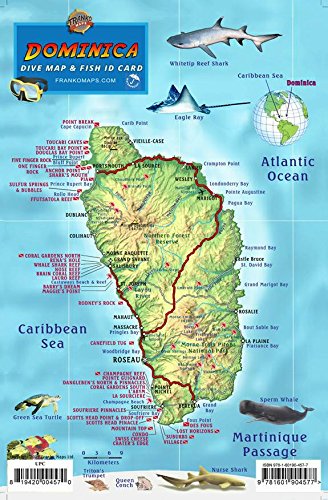 Dominica Dive Map & Fish ID Card /  Coral Reef Creatures