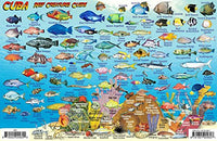 Fish Card Cuba Sea Dive Sites & Fish ID Card /  Coral Reef Creatures