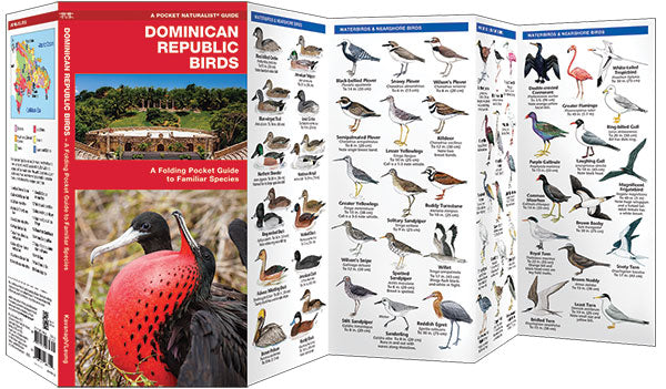 Vogelgids Dominican Republic Birds (2017)