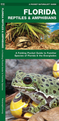 Natuurgids Florida Reptiles & Amphibians