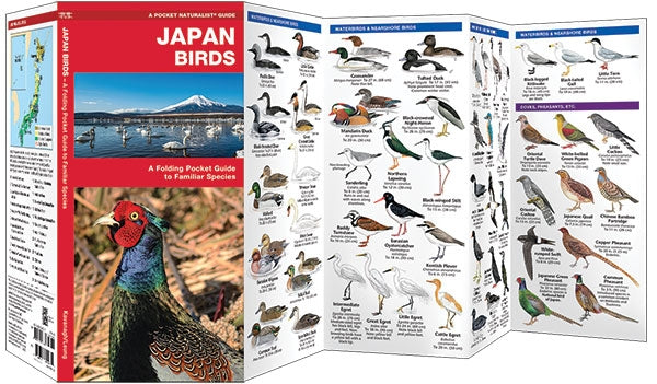 Waterford-Japan Birds