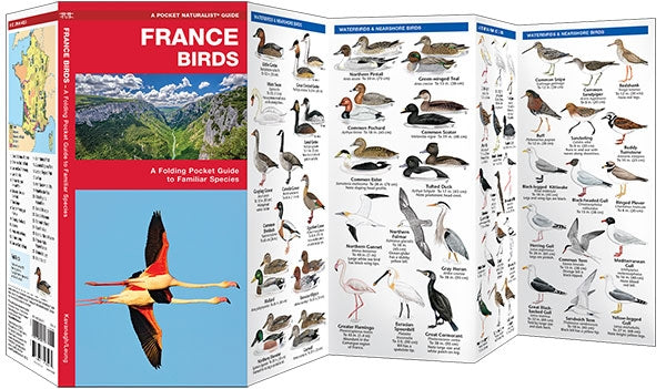Vogelgids France Birds