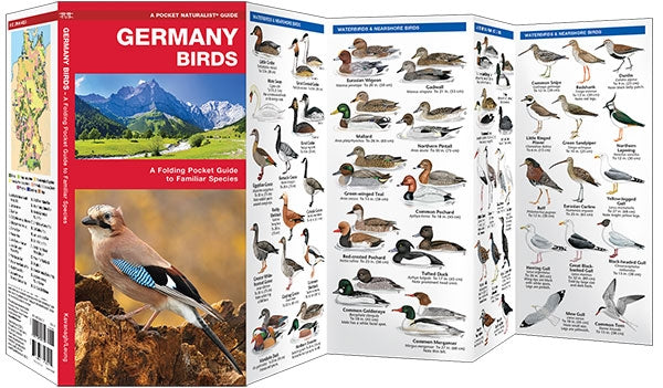 Waterford Vogelgids Germany Birds