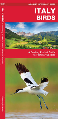 Italy birds