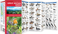 Vogelgids Great Britain Birds