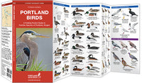 Waterford Portland Birds