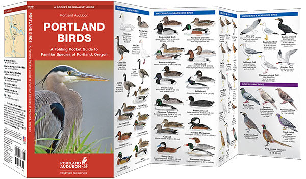 Waterford Portland Birds