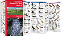 Waterford-Manitoba Birds