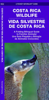 Wildlife-Costa Rican Wildlife