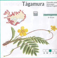 Botanical Map Island