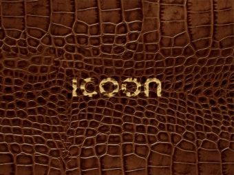 Icoon Croco