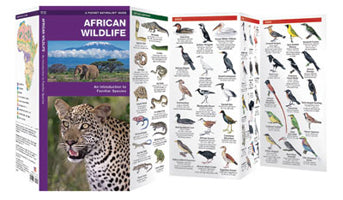 Waterford-African Wildlife (2012)