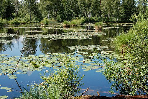 DÃ¤nische Inseln 2: Lolland, Falster, MÃ¸n