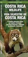 Wildlife - Costa Rican Wildlife