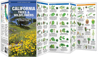 Waterford-California Trees & Wildflowers