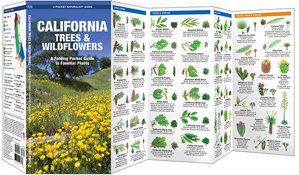 Waterford-California Trees & Wildflowers