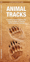 Waterford-Animal Tracks (North America)