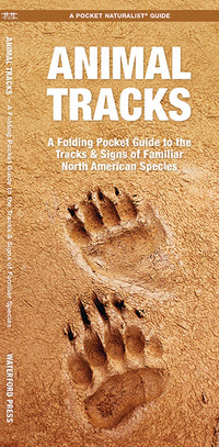 Waterford-Animal Tracks (North America)
