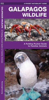 Nature Guide-Galapagos Wildlife