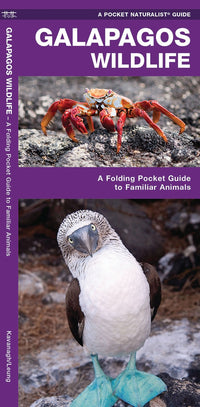 Nature Guide-Galapagos Wildlife