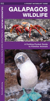 Natuurgids-Galapagos Wildlife