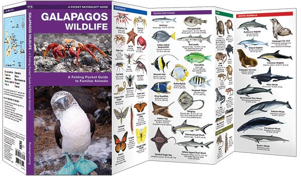 Natuurgids-Galapagos Wildlife