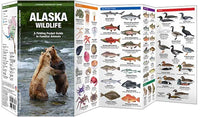 Natuurzakgids-Alaska Wildlife
