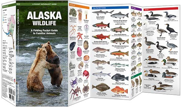 Natuurzakgids-Alaska Wildlife