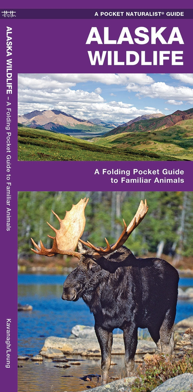 Nature Pocket Guide-Alaska Wildlife