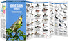 Vogelgids Oregon Birds