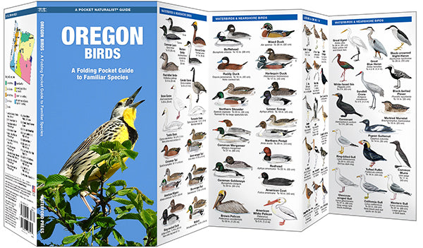 Vogelgids Oregon Birds