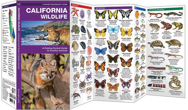 Waterford-California Wildlife