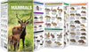 Waterford-Mammals-A Folding Pocket Guide to Familiar North American Animals