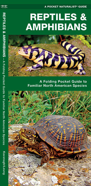 Waterford-Reptiles & Amphibians (North American Species)